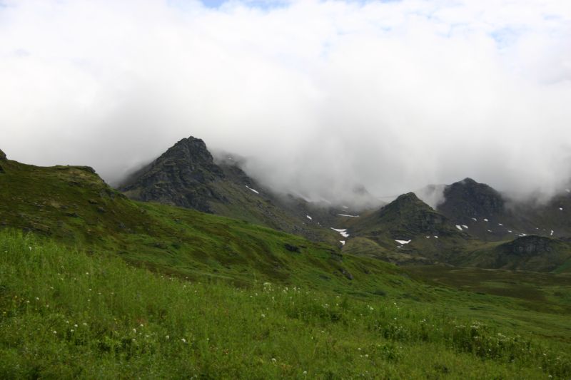 070404 Hope Hatcher Montana Creek (10175)